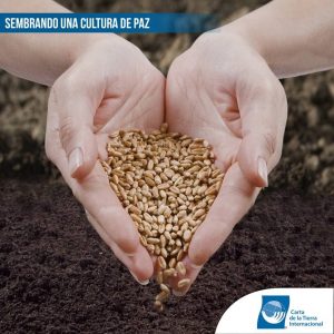 Sembrando una cultura de paz 2