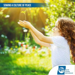 Sowing a culture of peace