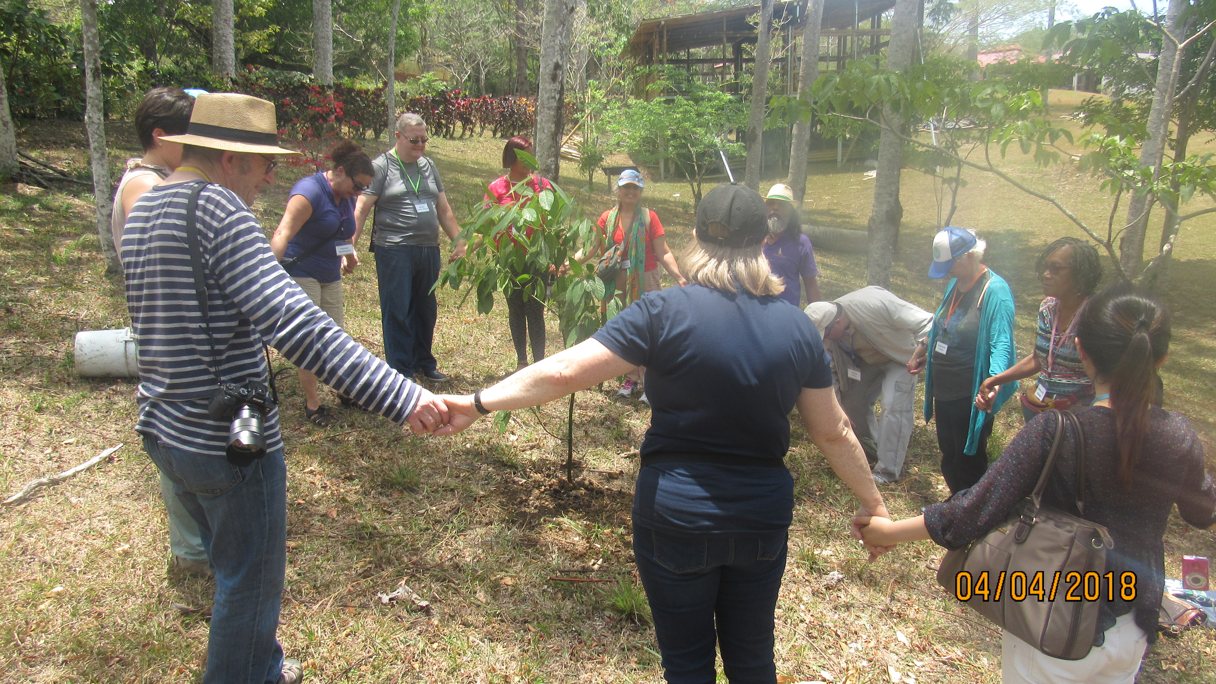 Costa Rica Tree Planting Session