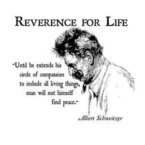 Reverance for Life Schwezer