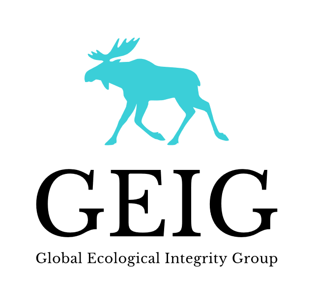 Geii Logo Eliot Parat Développeur Logiciels Faiveley Transport