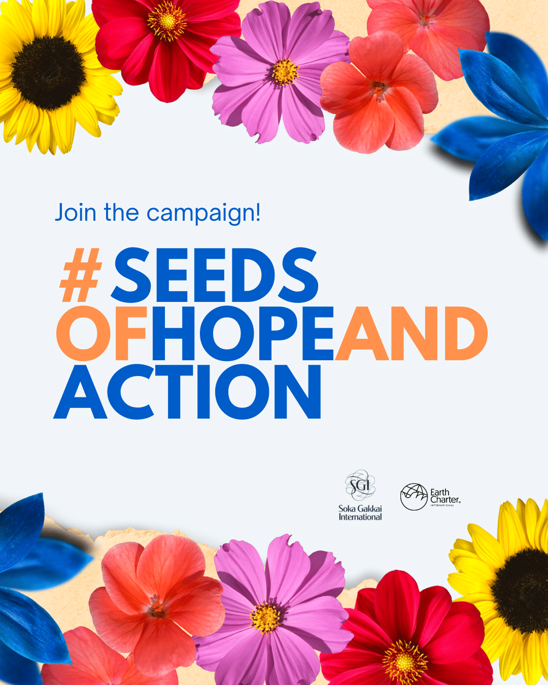 Join the social media campaign: #SeedsofHopeandAction! - Earth Charter